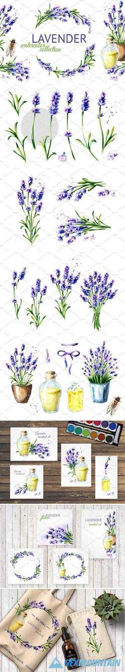 LAVENDER Watercolor collection 2428832