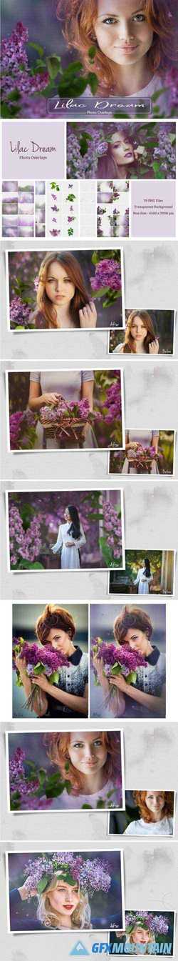 LILAC PHOTO OVERLAYS (39 PNG) - 2581969