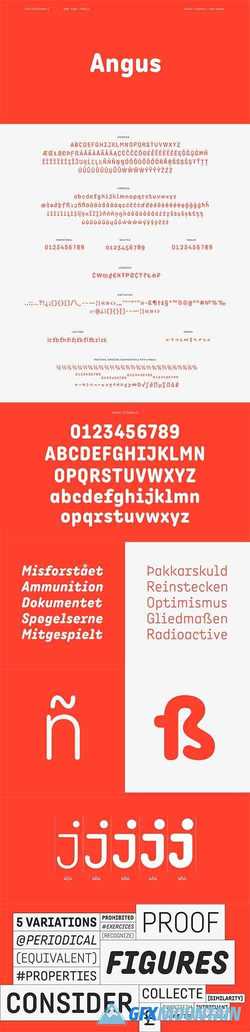 Angus Font Family