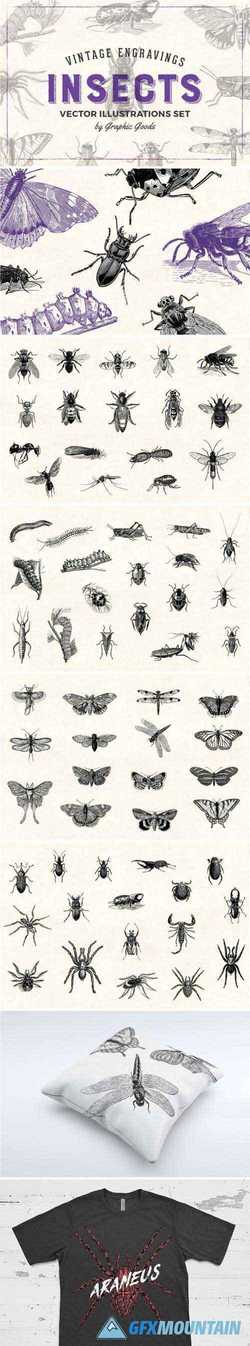 INSECTS - VINTAGE ILLUSTRATIONS - 1452979