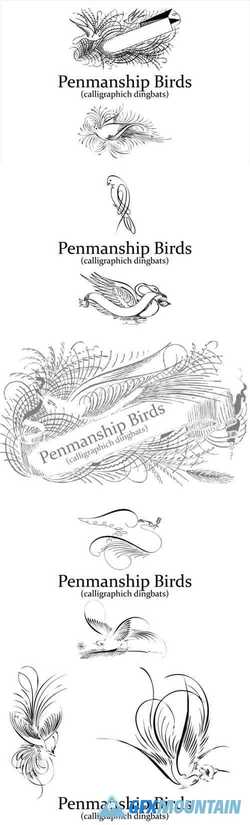 Penmanship Birds Font