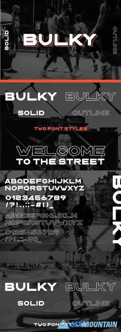 BULKY Display typeface, 2 styles 2710847