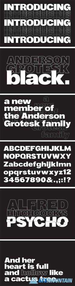 Anderson Grotesk Black Typeface 