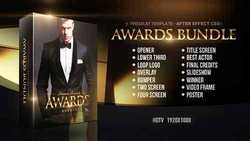 Awards Bundle 22481690