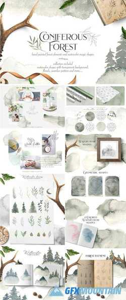 CONIFEROUS FOREST COLLECTION - 2706919