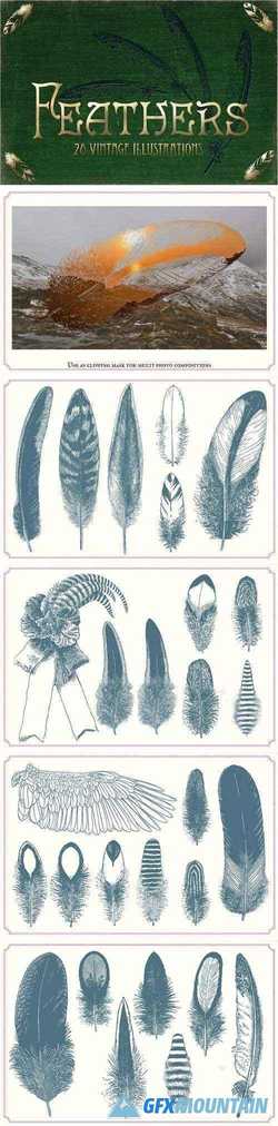 Vintage Feathers 1253113
