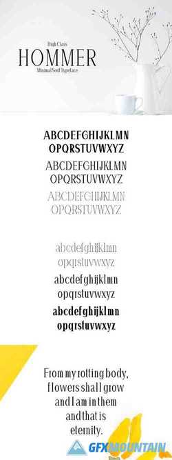 Hommer Minimal Serif Font Family