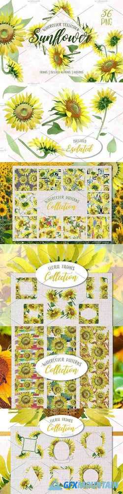 Sunflower Yellow Watercolor png - 3724215
