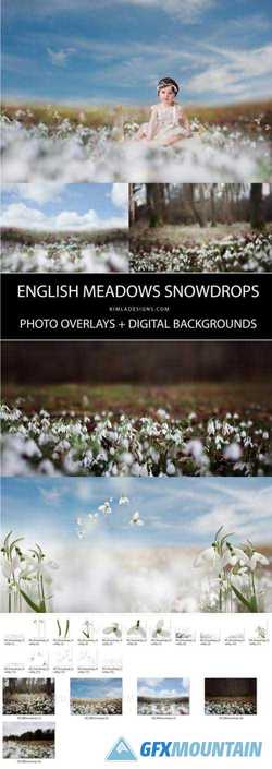 SNOWDROPS PHOTO OVERLAYS
