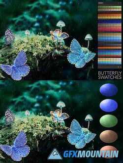 Butterfly Swatches - 3866406