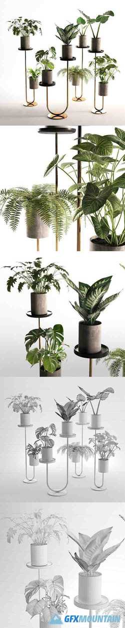 Cigales Plant Stands 3D model