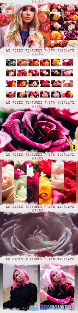 Download photo overlays red rose petals printable textures 297628