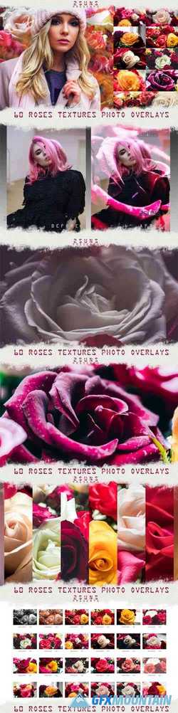 Red Rose Petals Photoshop Textures 1666699