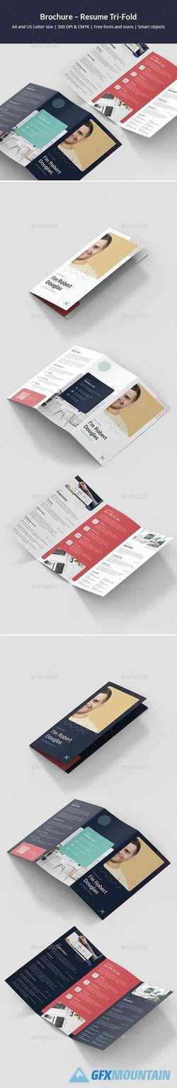 Brochure – Resume Tri-Fold 24767799