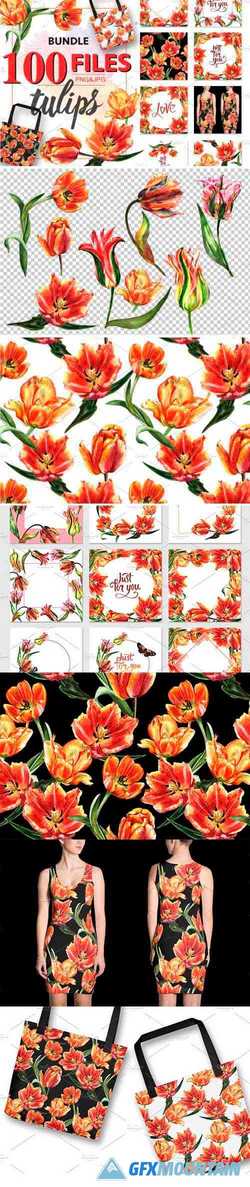 TULIP RED PNG WATERCOLOR FLOWER SET - 4230147