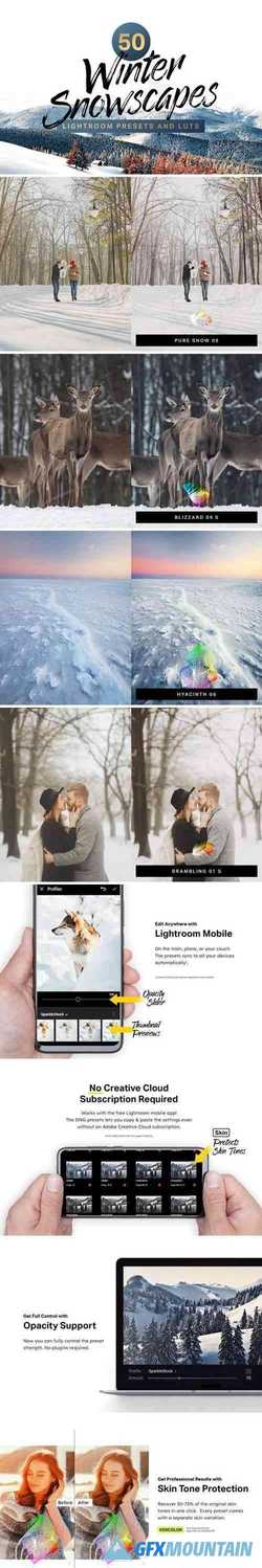 50 Winter Lightroom Presets and LUTs 4285934