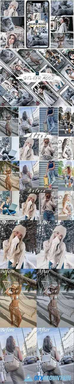 Silver Mood Photoshop Actions 25147155