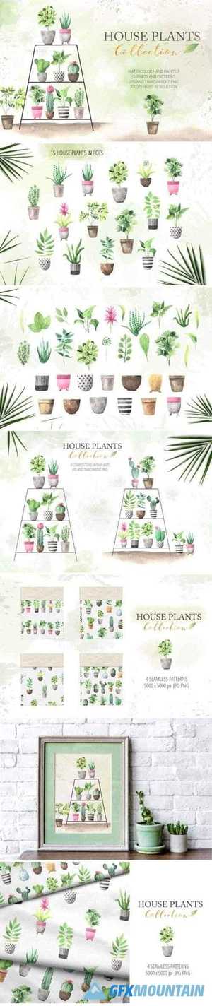 Watercolor House Plants Collection 3551693