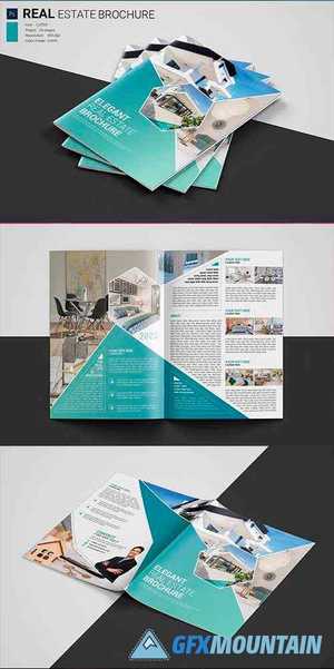 Real Estate Brochure 4579381