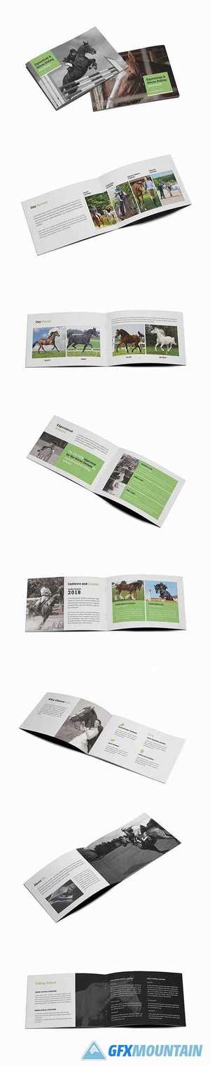 Equestrian & Horse Riding A5 Brochure