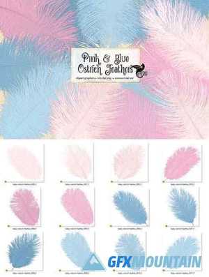 Pink and Blue Ostrich Feathers Clipart 4167479