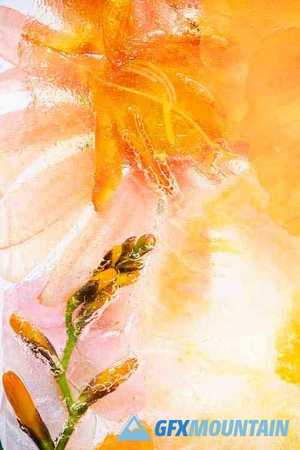 Orange natural branch of forsythia flowers background