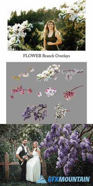 Flower Branch Overlays, PNG 5264581