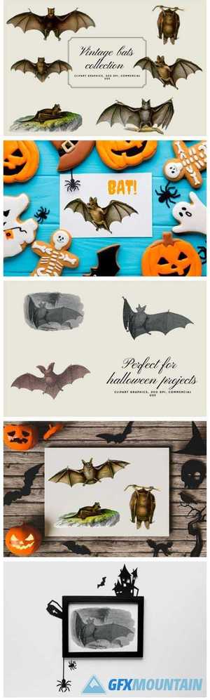 Vintage Bats Collection, Creepy Graphics 5919304