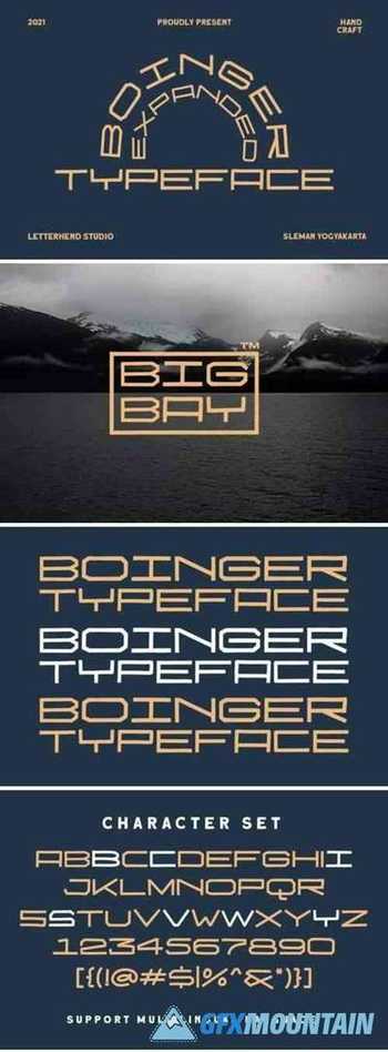 Boinger Font