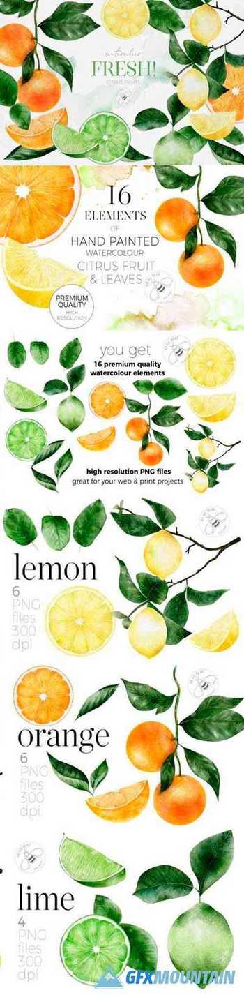 Fruit Watercolour Citrus Fruit Lemons 6975575
