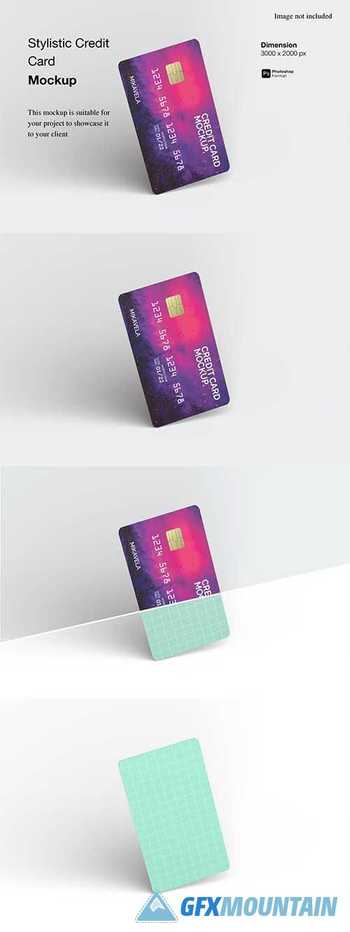 Stylistic Credit Card Mockup