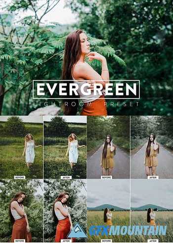 10 Evergreen Lightroom Presets