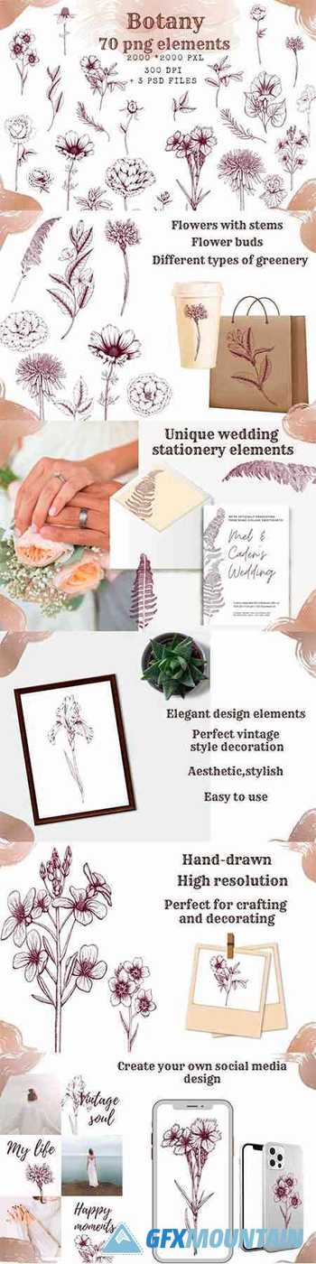 Botanical aesthetic clipart,hand drawn floral design element