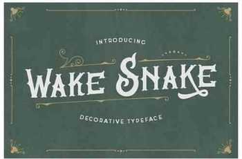Wake Snake Font