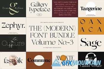 The Modern Font Bundle Vol.3 5548383
