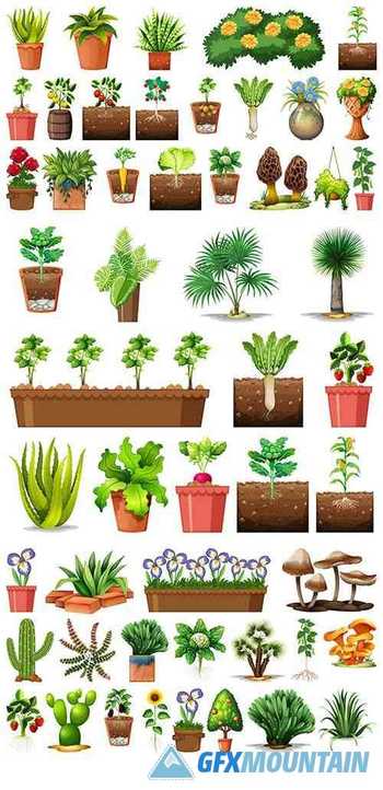 Set of different plants pots isolated