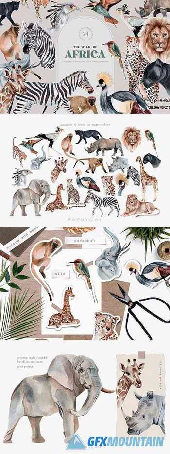 Wild Animals of Africa Illustrations Watercolor