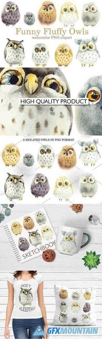 Watercolor Funny Owls - 6022757