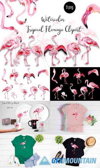 Watercolor tropical Flamingo Clipart - 1356007