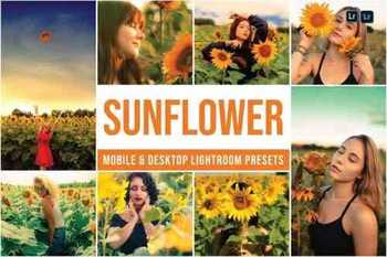Sunflower Mobile and Desktop Lightroom Presets