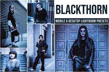 Blackthorn Mobile and Desktop Lightroom Presets