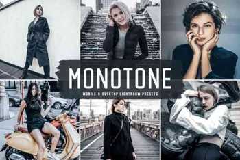 Monotone Pro Lightroom Presets - 6234979