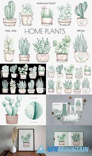 Watercolor ClipArt Home Plants