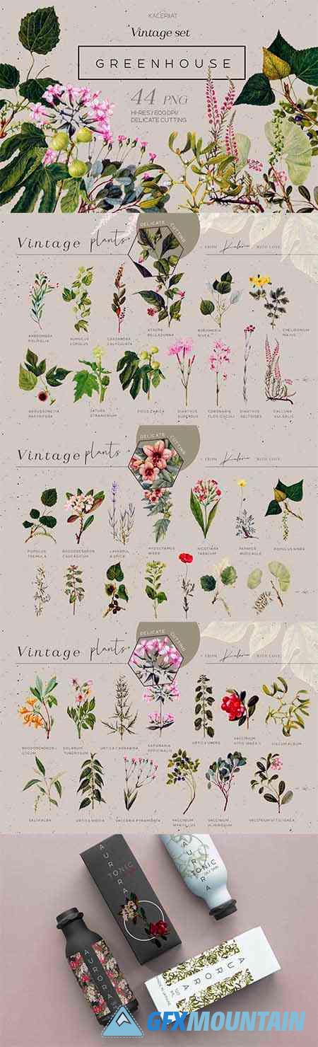 Greenhouse - Vintage Botanical Set - 5264466