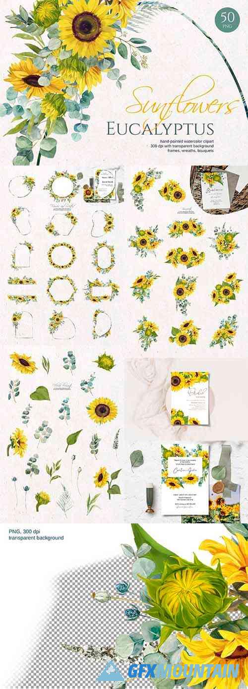 Sunflower Eucalyptus. Watercolor set - 6302125