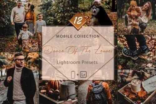 12 Mobile Lightroom, Dance of the Leaves