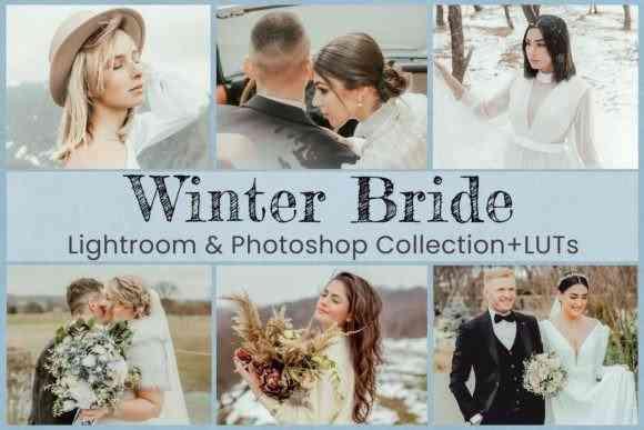 Winter Bride Photo & Video Presets