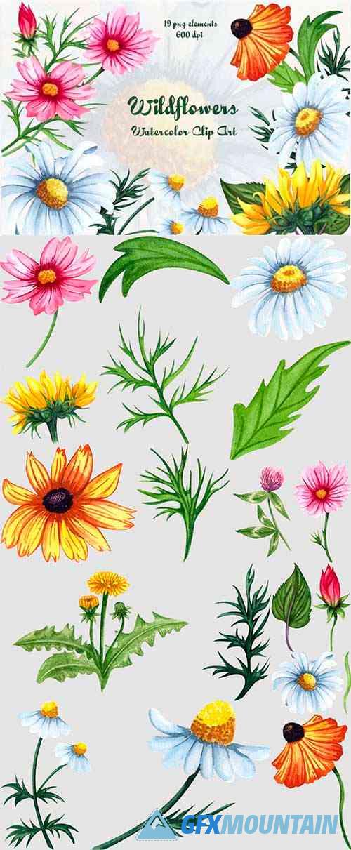 Wildflowers Watercolor Clipart