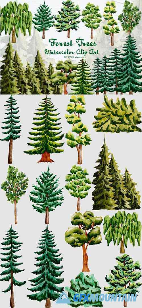 Forest Trees Watercolor Clipart