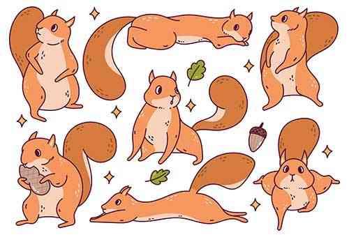 Cute Squirrel Cartoon Character